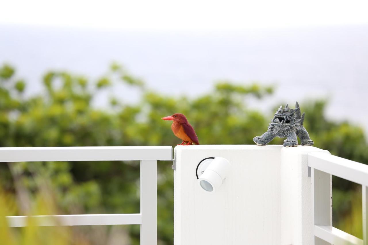 Blue Ocean Resort Ishigaki  Dış mekan fotoğraf
